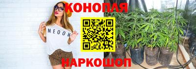 мдпв Ирбит