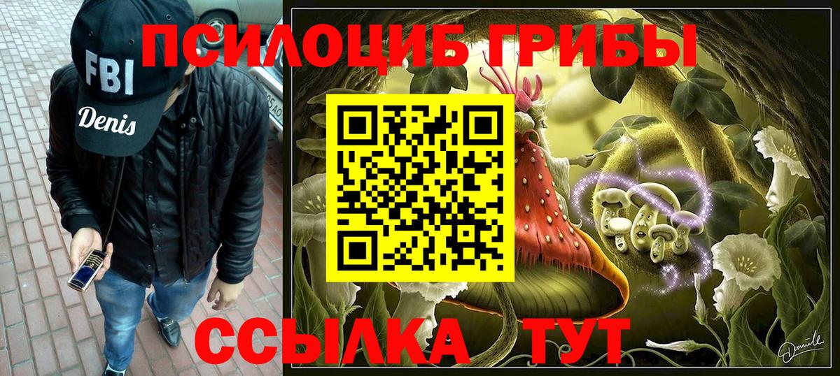 Минусинск  наркота  Вход с VPN  Псилоцибиновые грибы прущие грибы 