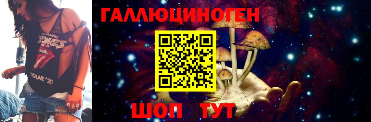 Псилоцибиновые грибы Psilocybe Минусинск